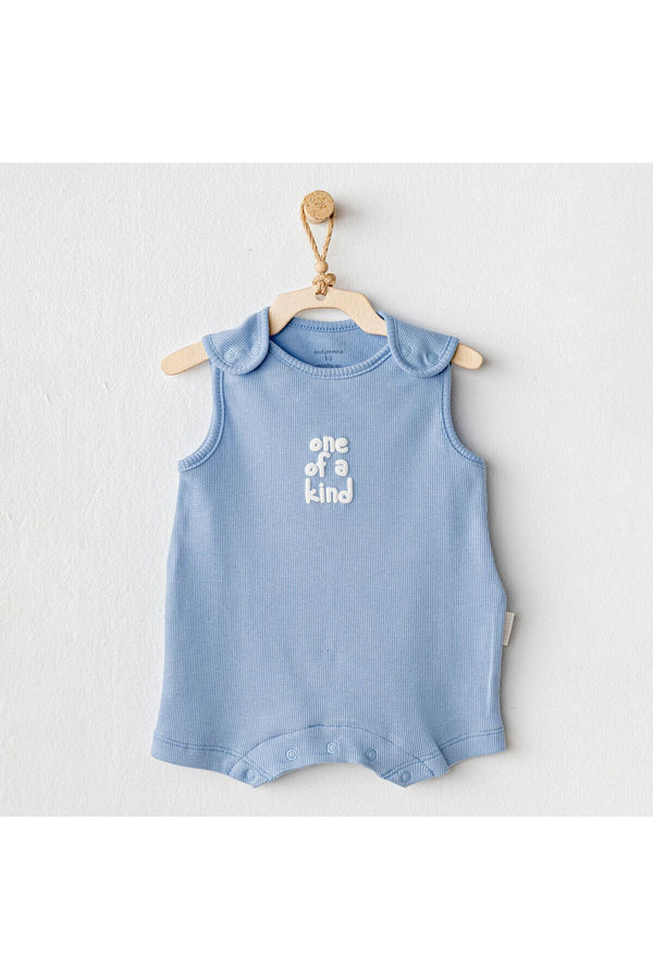 Andy Wawa Bebek Romper Basic Mavi Tulum AC25895
