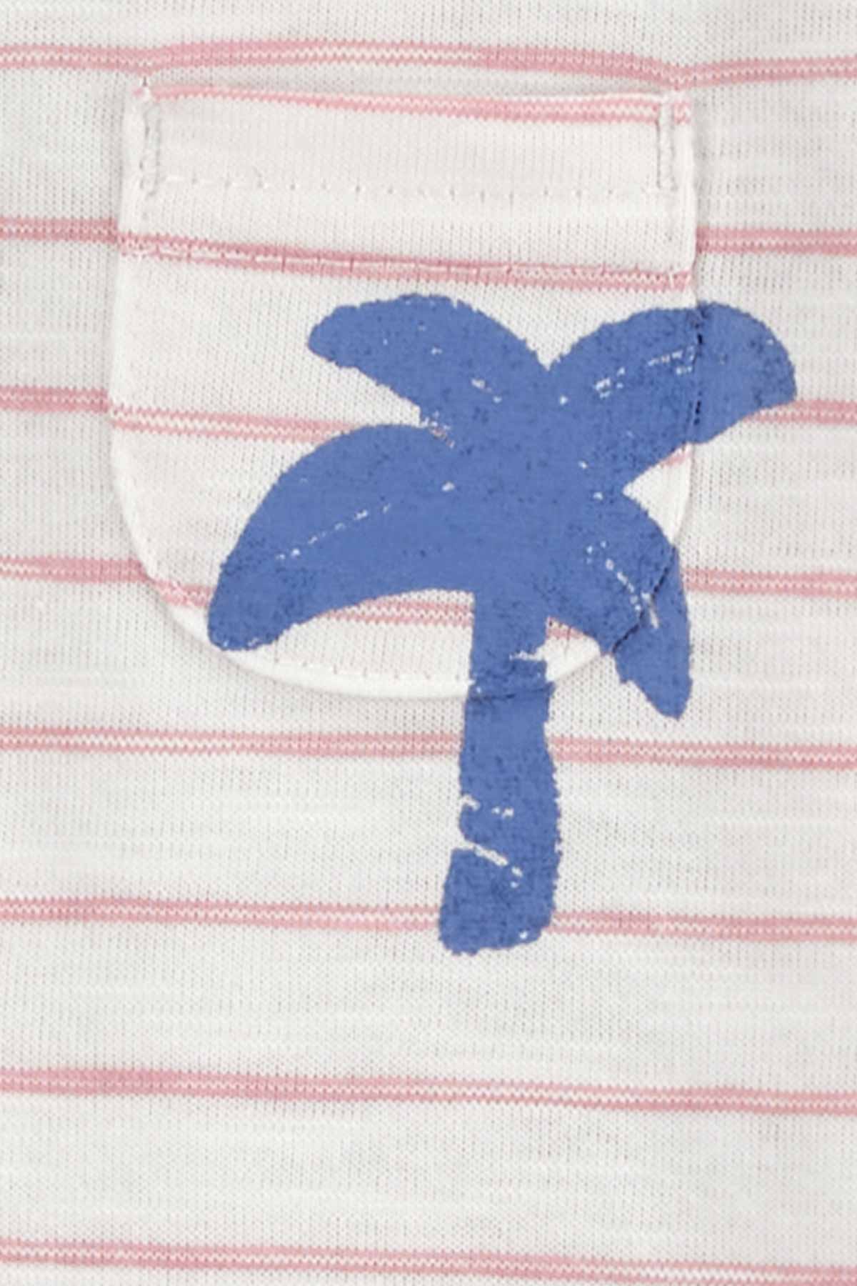 Carters Layette Renkli Erkek Bebek 2Li Tulum 1Q476310R
