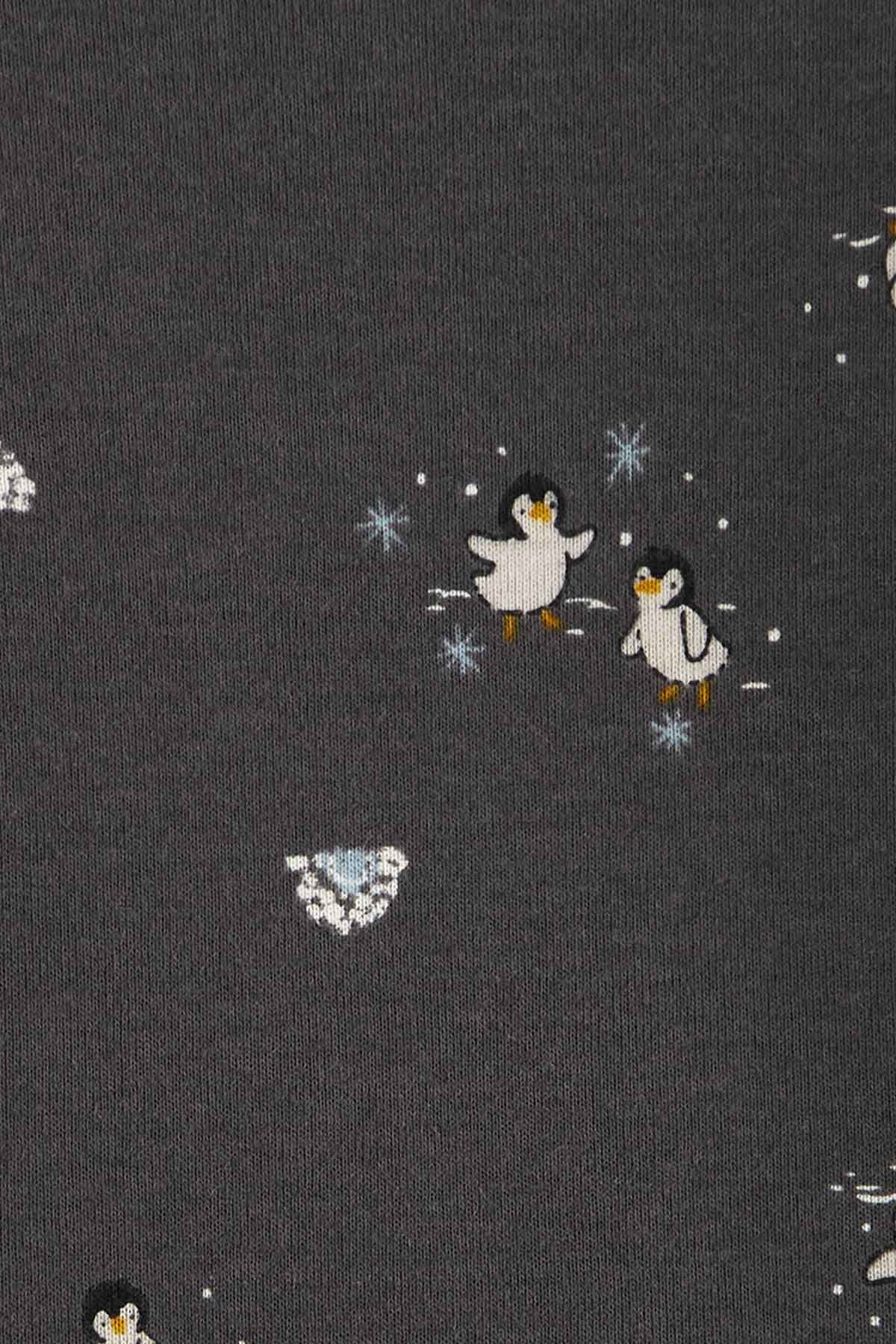 Carters Renkli Layette Erkek Bebek Body Pantolon Set 3'lü Paket 1R550210R