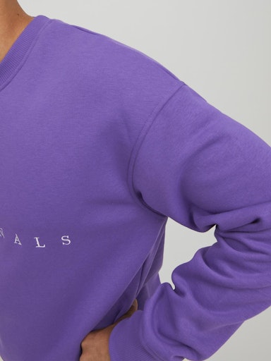 Jack Jones Erkek Mor Jorcopenhagen Sweat 12204796MO